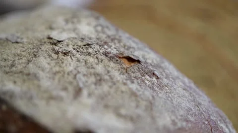 Freshly sliced, artisan bread on a rustic wooden cutting board Stock Footage 283486449
