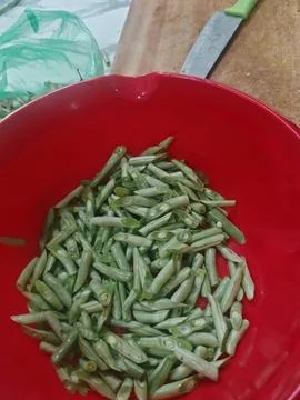 Freshly Sliced Green Long Beans in a Red Bowl During Food Preparation Stock Photos