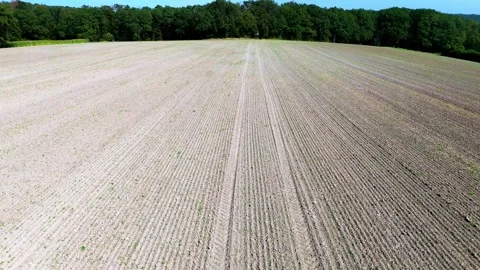 Freshly sown fields: aerial view Stock Footage 283382140