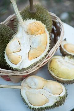 Freshly Split Du Fruit Showing Creamy Yellow Flesh in a Wicker Basket  The .. Foto stock