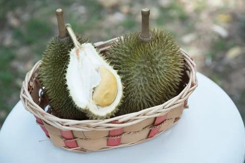 Freshly Split Du Fruit Showing Creamy Yellow Flesh in a Wicker Basket  The .. Stock Photos