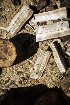 Freshly split logs and a round log on a sawdust yard, from above Stock Photos