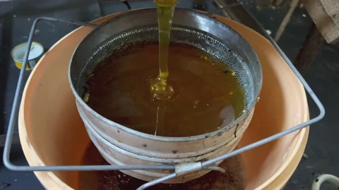 Freshly squeezed honey Stock Footage 203792207