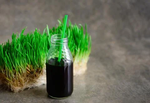 Freshly squized wheatgrass portion in a bottle with a straw Stock Photos