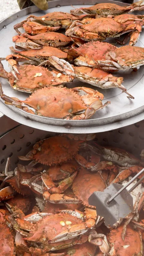 Freshly steamed crabs are removed from pot, steam rising. Stock Footage 344907600