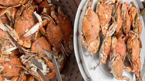 Freshly steamed crabs ready and removed to serve to an anxiously waiting crow 動画素材 344907337
