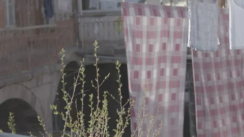 Freshly washed clothes hanging on a line 3 Video stock 329889752