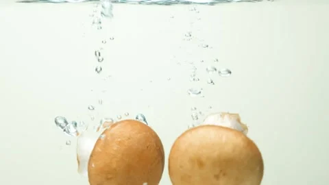 Freshly Washed Cremini Button Mushrooms Dropping into Water in Slow Motion. Stock Footage 308710326