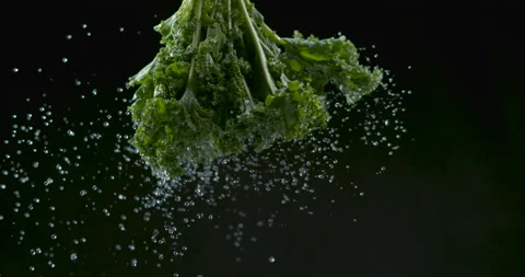Freshly washed luttuce dangles from top and splashes water droplets on black bac Stock Footage 199457037