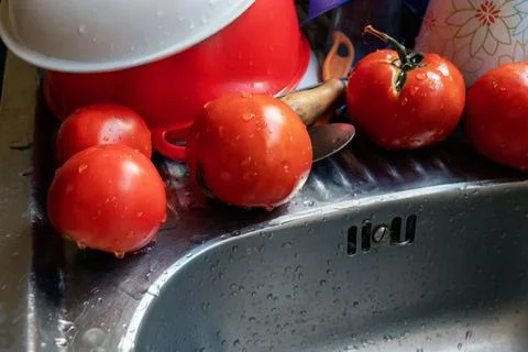 Freshly washed tomatoes alongside kitchen items Photos