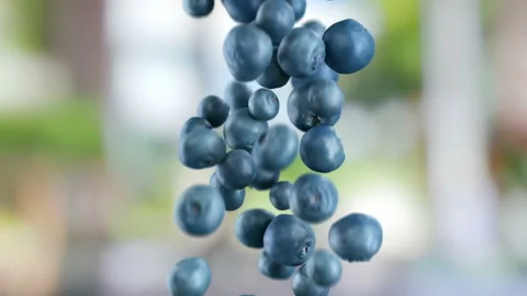 Freshness Blueberries Falling Down in super slow motion 4K Stock-Footage 137519910