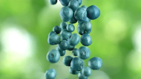 Freshness Blueberries Falling Down in super slow motion 4K Stock-Footage 137520863