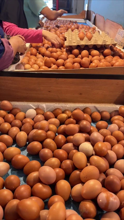 Freshness in Focus: The careful manual selection and packing of natural bro.. Stock-Footage 337284615