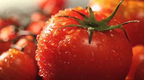 Freshness Stock Footage