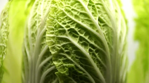 The freshness of green Beijing cabbage in this macro shot on a white background Stock Footage 288359577