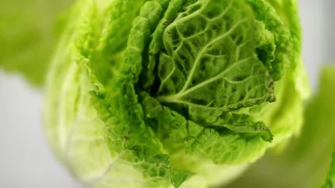 The freshness of green Beijing cabbage in this macro shot on a white background Stock Footage 288359578