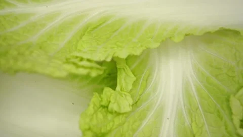 The freshness of green Beijing cabbage in this macro shot on a white background Stock Footage 288359602