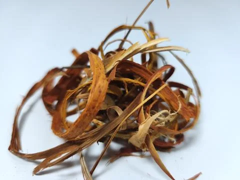 The freshness of organic spice as a source of alternative medicinal ingredient. Foto stock