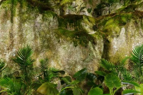 Freshness Of The Tropical Forest Stock Photos