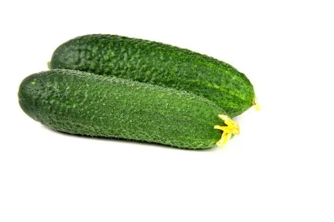 Freshness two cucumbers on white background Stock Photos