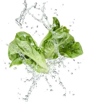 Freshness of vegetables Stock Photos