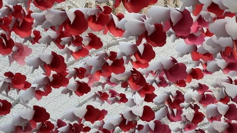 Freshness with wind Stock Footage 90807203