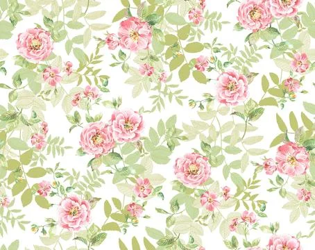 A,Fresh,Rose,In,The,Forest 스톡 일러스트