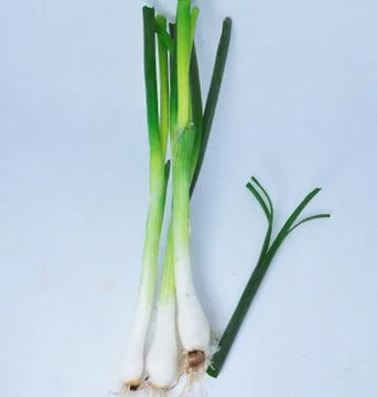 FreshScallion on a white background Foto stock