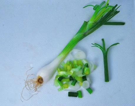FreshScallion on a white background Stock Photos