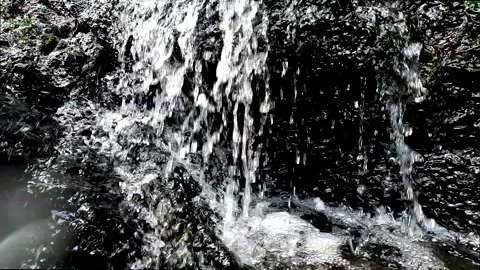 Freshwater conservation concept; close up of fresh water of a small cascade Vidéo 336932039