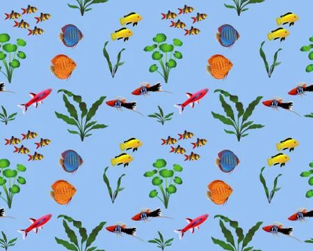 Freshwater fish colour Illustrazione stock