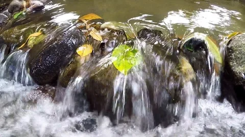Freshwater flowing through fallen leaves and rocks Stock Footage 101691472