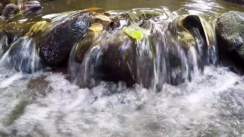 Freshwater flowing through fallen leaves and rocks Stock Footage 101691490