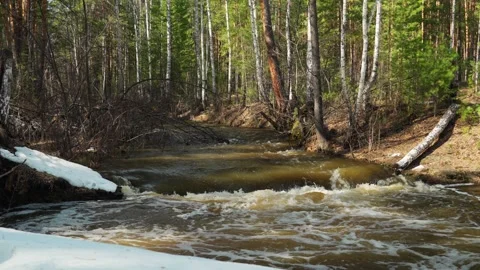 Freshwater mountain-forest river with a fast current and small rapids. Stock Footage 332364561