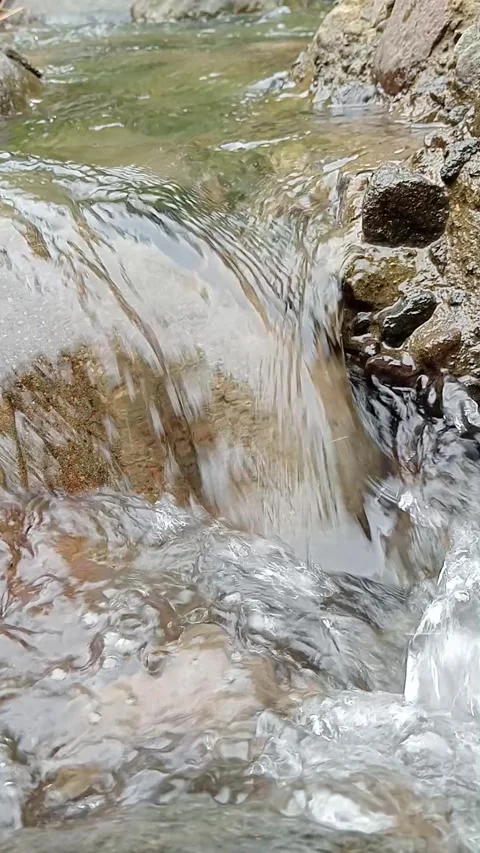 Freshwater stream flowing rapidly over rocks in tropical forest Stock Footage 329883554