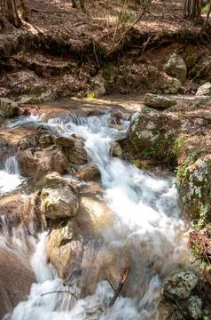 Freshwater stream flows over smooth rocks. Mossy stones line the creek's path Stock Photos