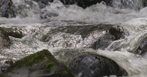 Freshwater Stream Running, Close Up 8K Stock-Footage 330625490