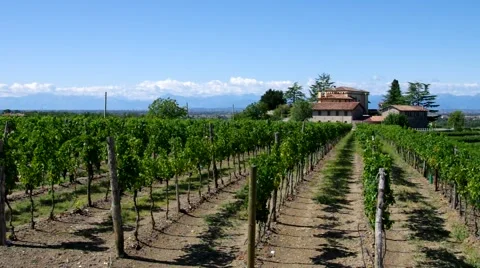 Friaul vineyard estate Stock Footage 58325689