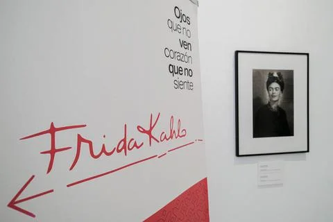 Frida Kahlo: Ojos que no ven corazn que no siente. The Pan, Palazzo delle.. Stock Photos