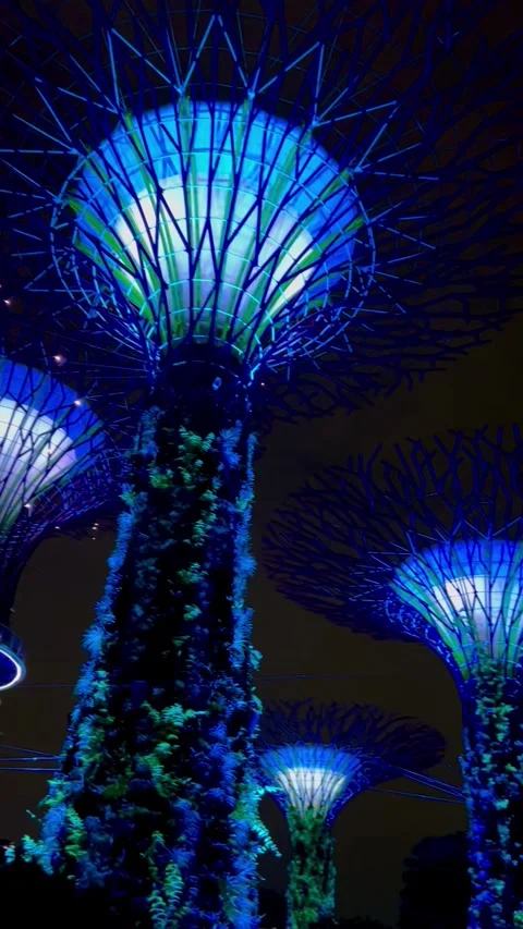 Friday, 24 Nov 2023, Super Trees Gardens by the Bay, Singapore at Night Stock Footage 280120154