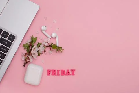 Friday layout on a pink background. Blooming tree branch, laptop, headphone.. Stock Photos