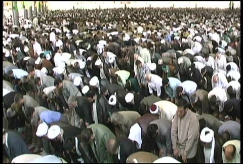 Friday Prayers Tehran: Bowing Stock Footage 492266