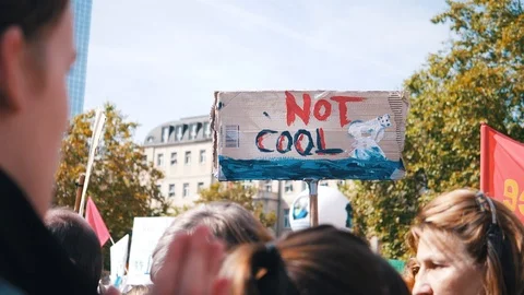 Fridays for Future Climate Change Protest Sign Stock Footage 118665821