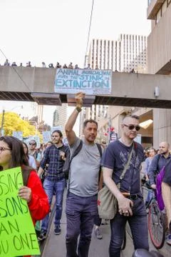 'Fridays for Future' climate change protest in Toronto, Canada. Stock Photos