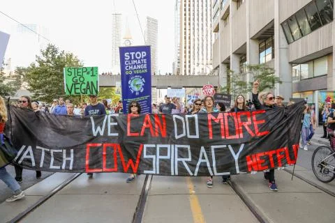 'Fridays for Future' climate change protest in Toronto, Canada. Stock Photos