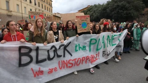 Fridays for future Stock Footage 120775463