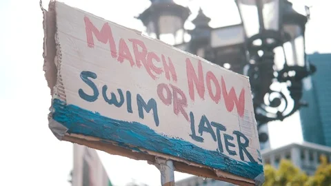 Fridays for Future Protest Sign Stock Footage 118664829