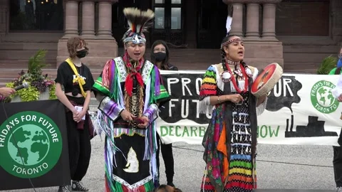 Fridays for Future in Toronto Canada 2021 Stock Footage 161507538