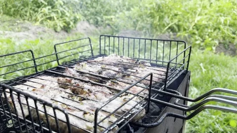 Fride meats Stock Footage 203969492