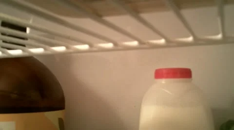 Fridge Door Opening &amp; Closing From Inside The Fridge Vídeo Stock 52318778